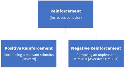 增強物種類|增強理論（reinforcement theory）